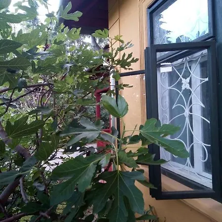 Apartment Kundalini